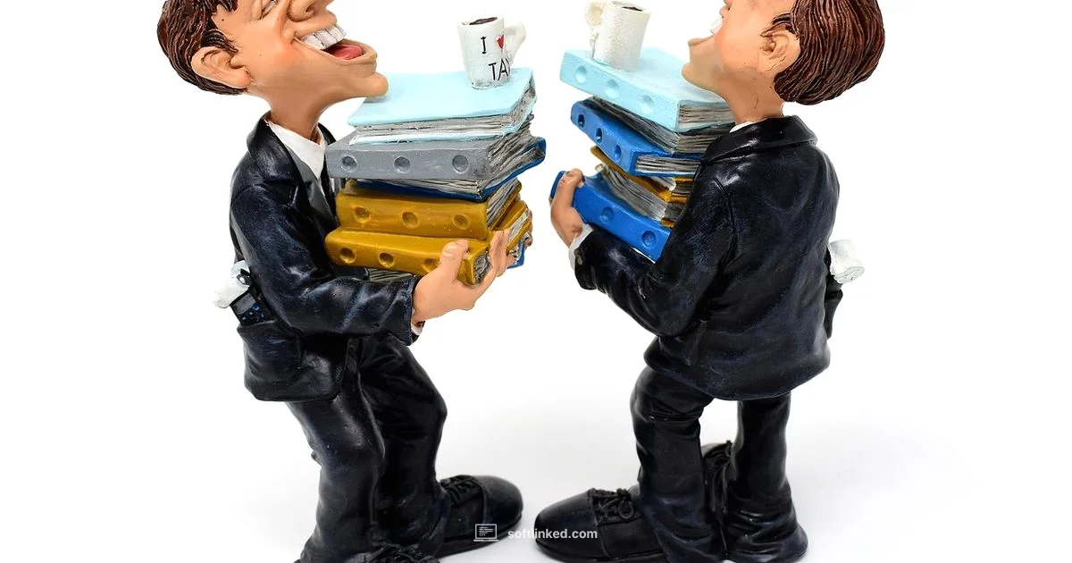 Tax Software at Home - SoftLinked