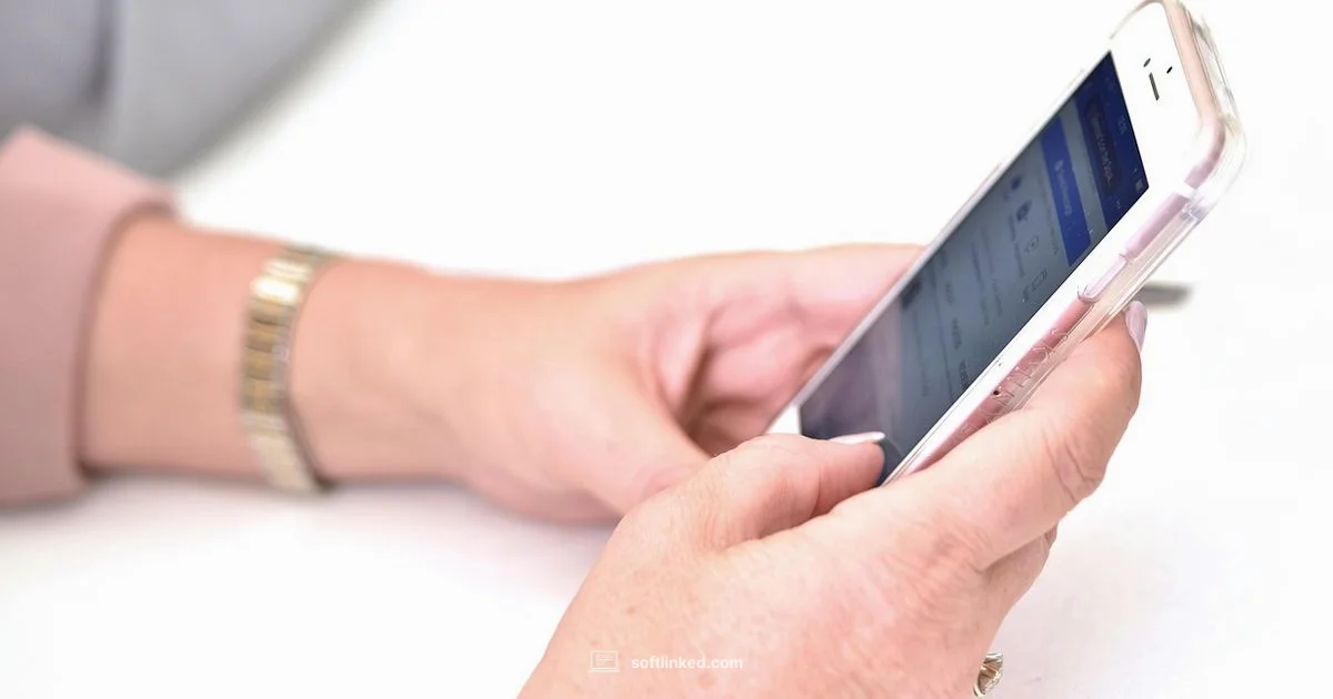 Video Conferencing in Action - SoftLinked