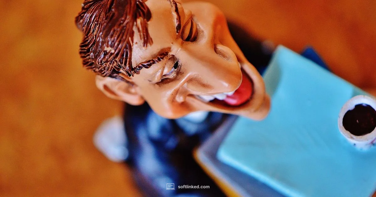 Tax Act Software Guide - SoftLinked