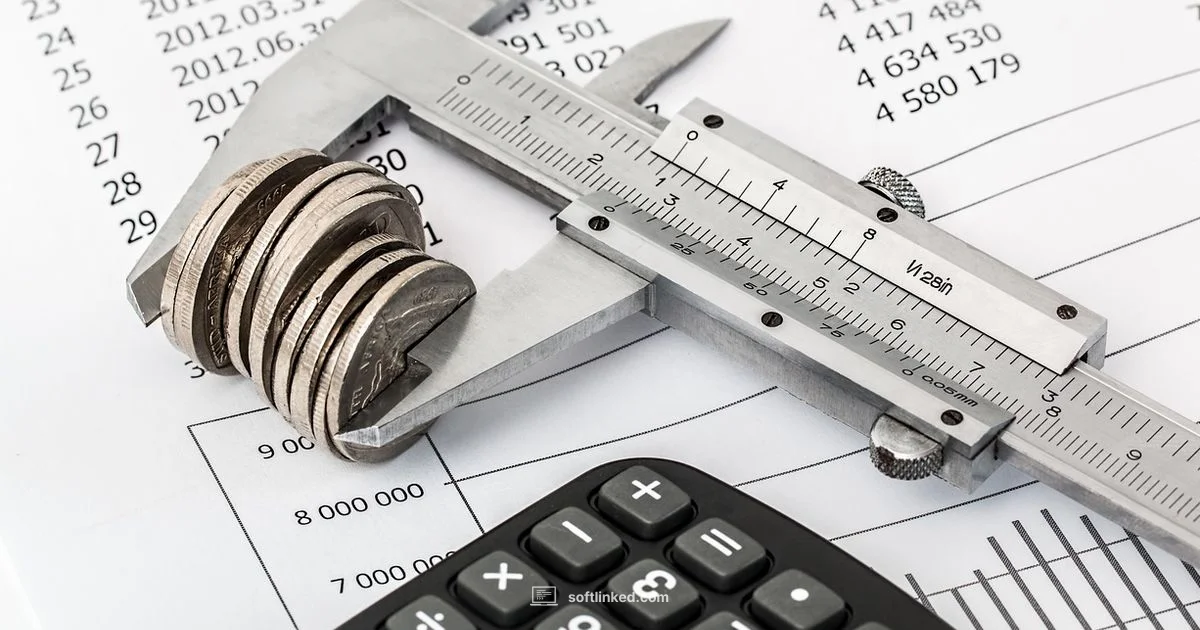 Smart Budgeting Tools - SoftLinked