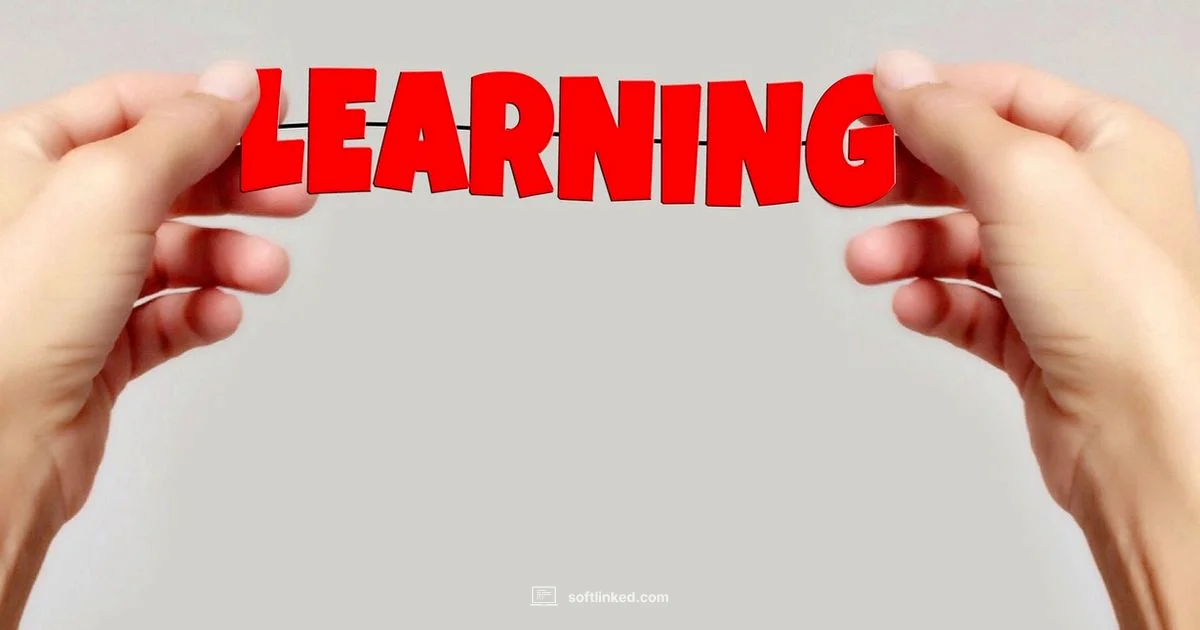 Coding in Software - SoftLinked