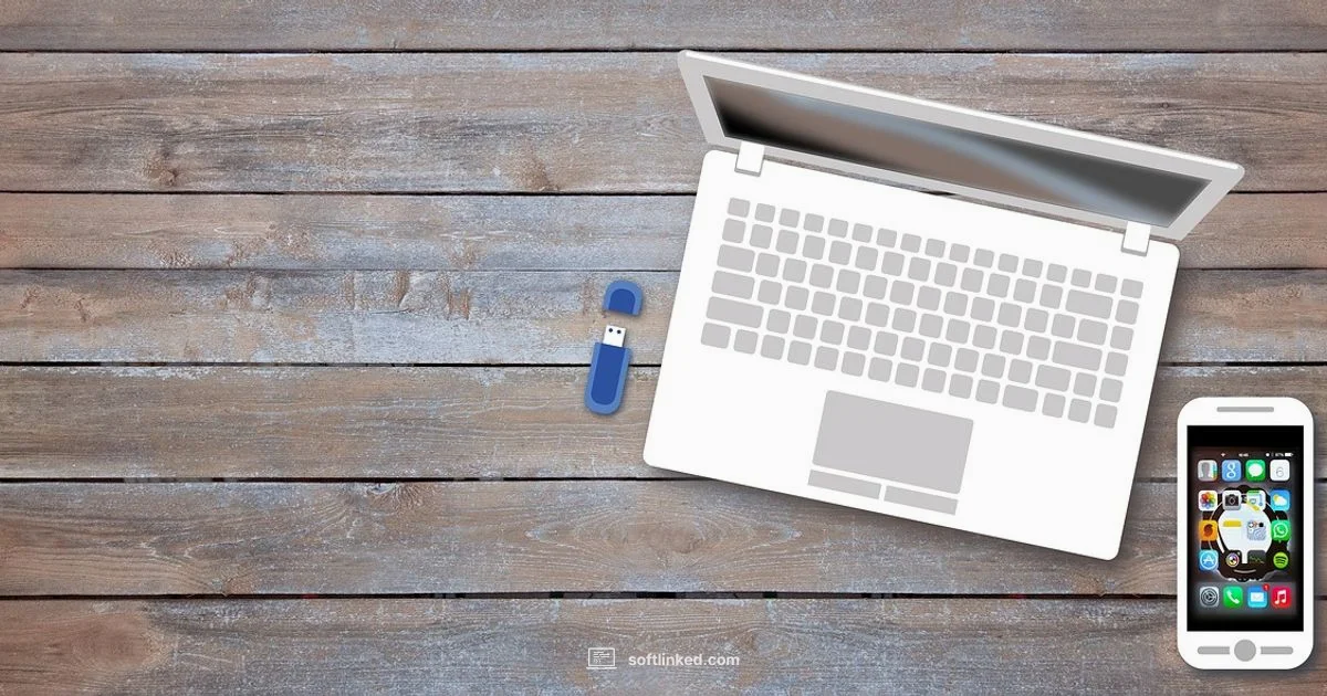 Software vs Online - SoftLinked