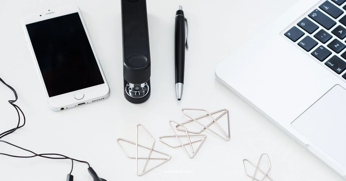 Update Troubleshooting - SoftLinked