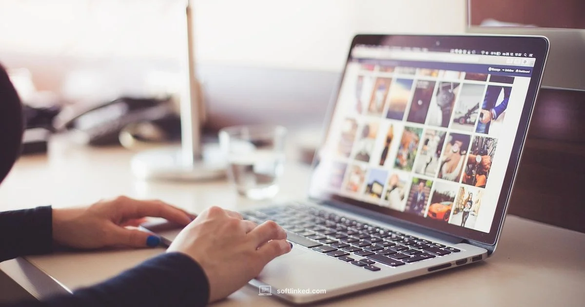 Using Software on a Computer Using Software on a Computer - SoftLinked