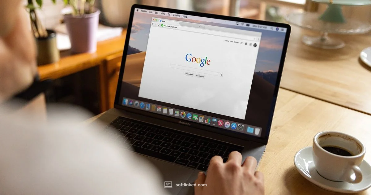 Free Editor Showdown - SoftLinked