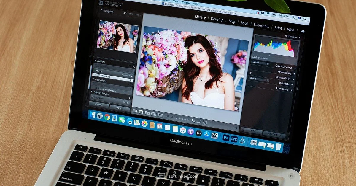 Adobe Cloud Download - SoftLinked