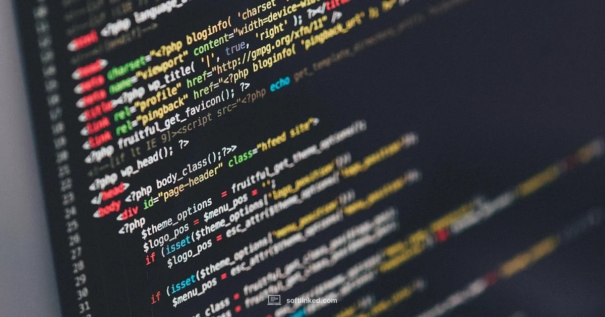 C Software Guide - SoftLinked