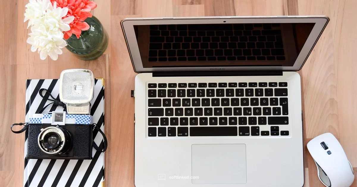 OS vs Apps - SoftLinked