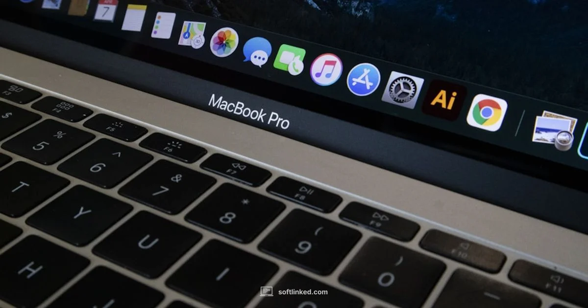 Mac Update Password - SoftLinked