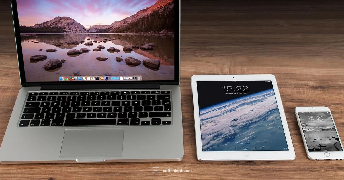 Free Billing Toolkit - SoftLinked