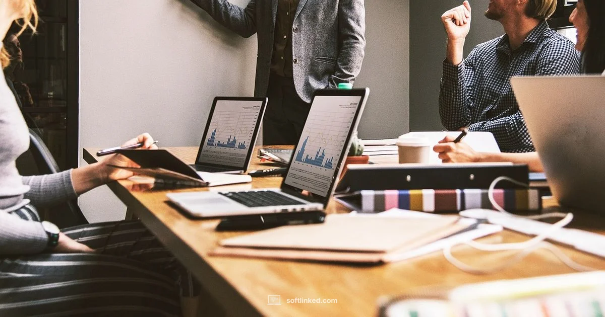 Software Services Software Services - SoftLinked