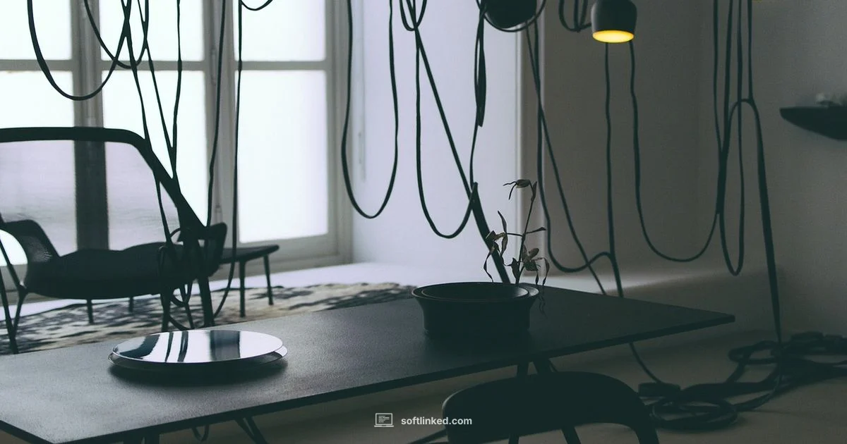 IT Asset Control - SoftLinked