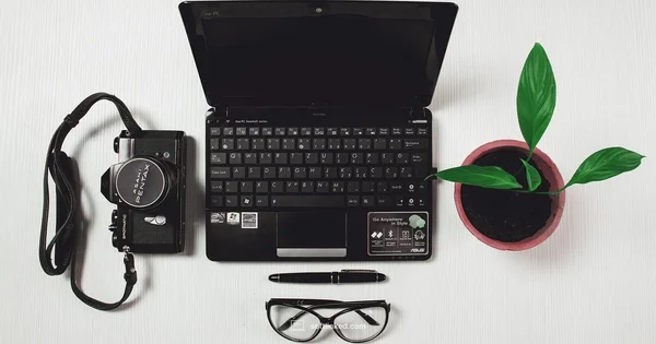 Learn Software Fundamentals - SoftLinked