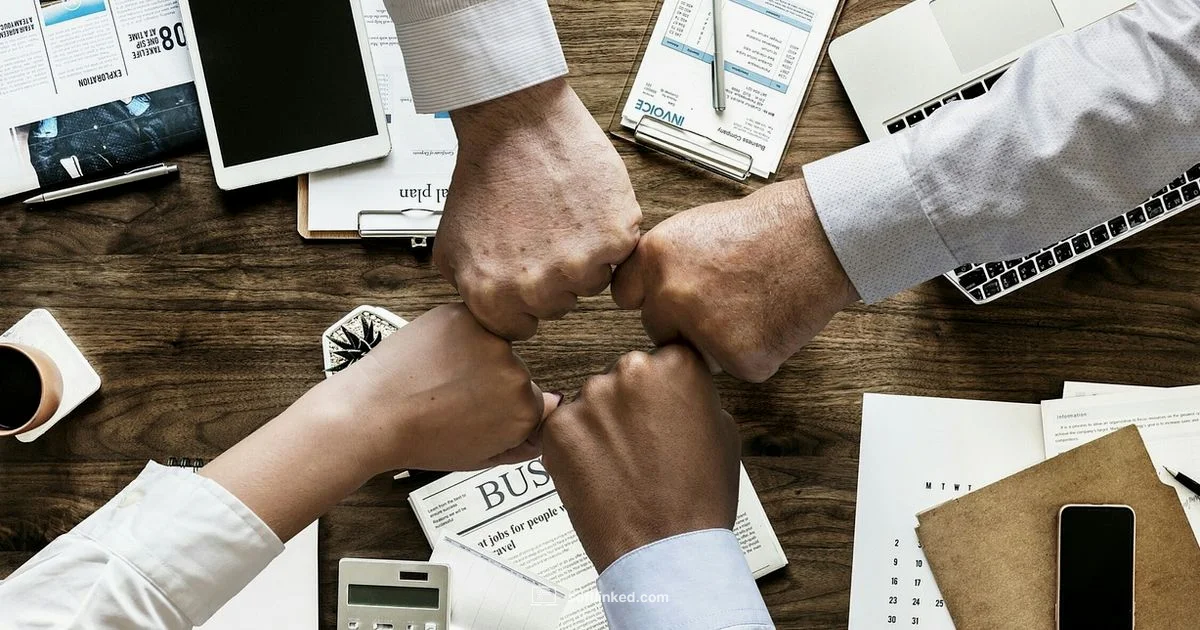 Lifecycle in Action - SoftLinked