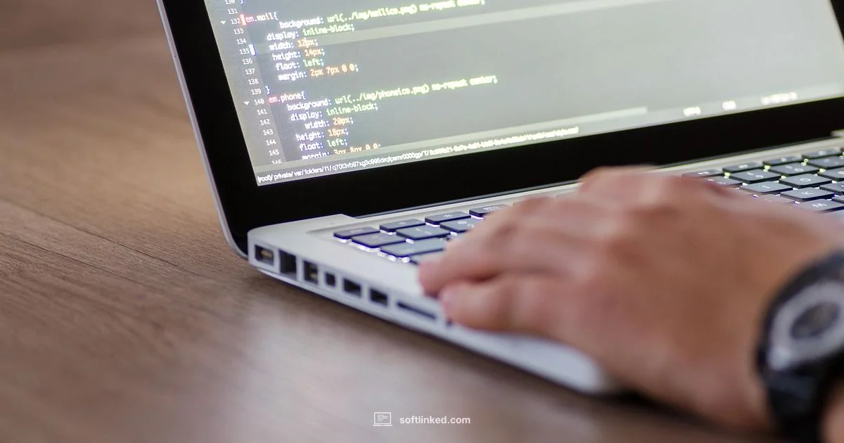 Program Basics - SoftLinked