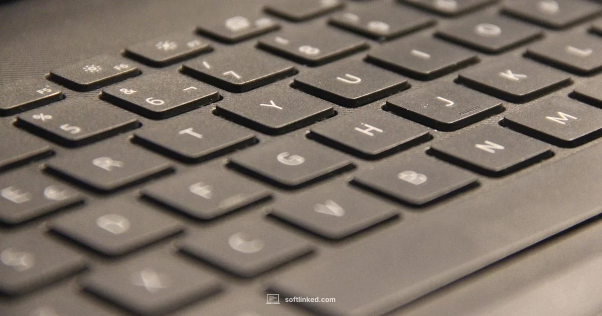 Recovery Tool Guide - SoftLinked