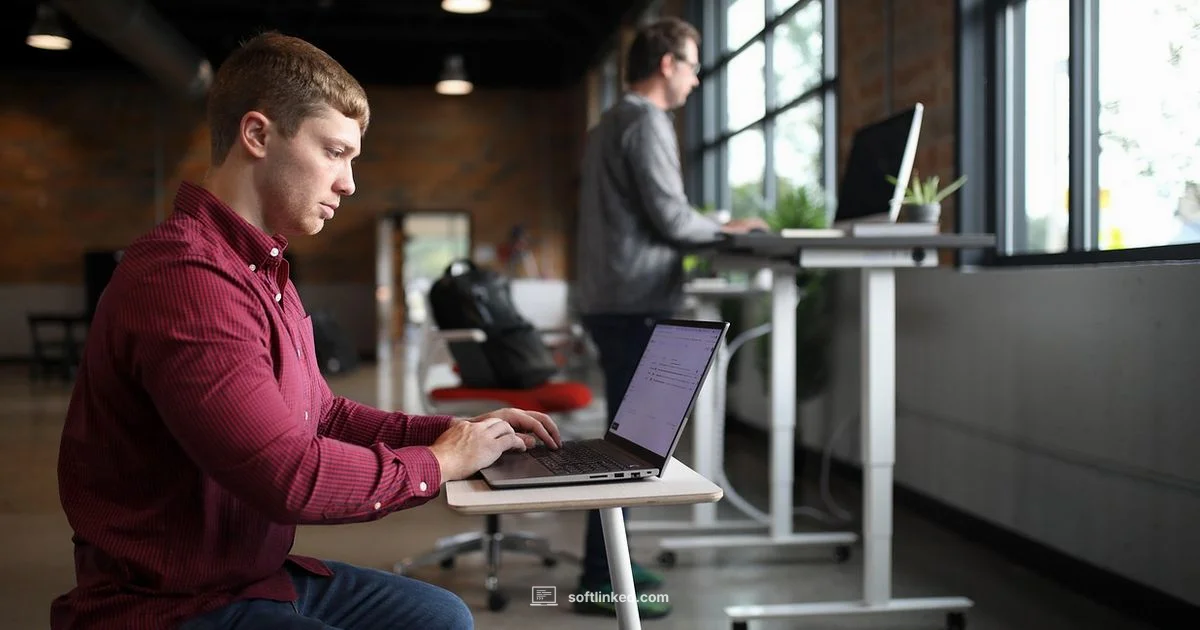 Pirate Software Risks - SoftLinked