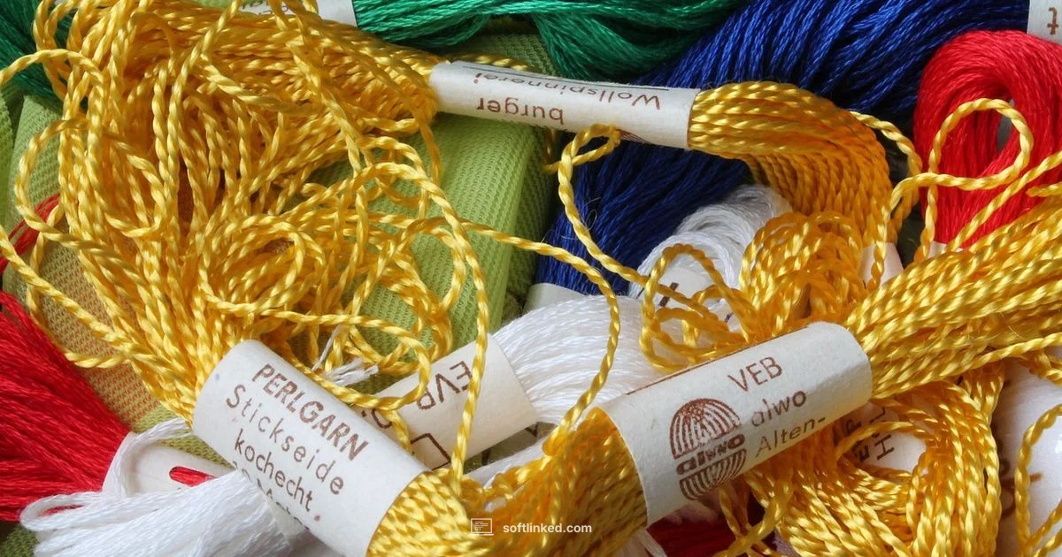 Embroidery Digitizing Guide - SoftLinked