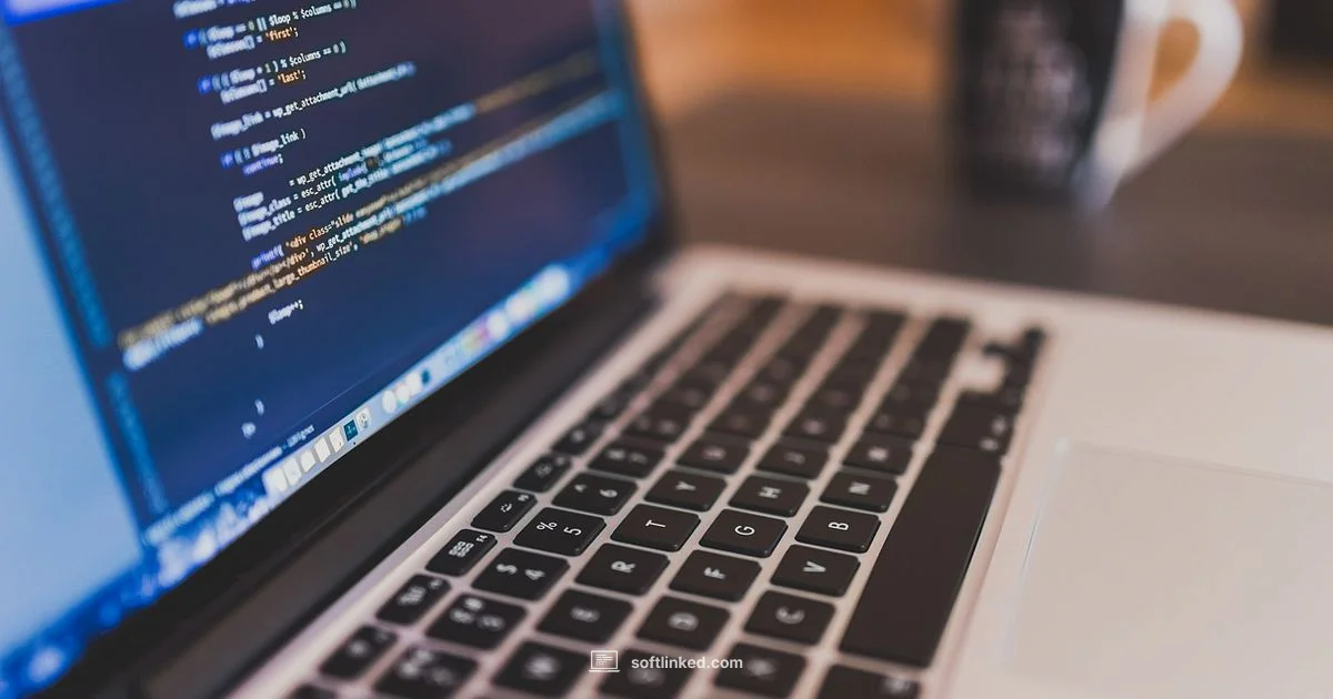 SAP Software Overview - SoftLinked