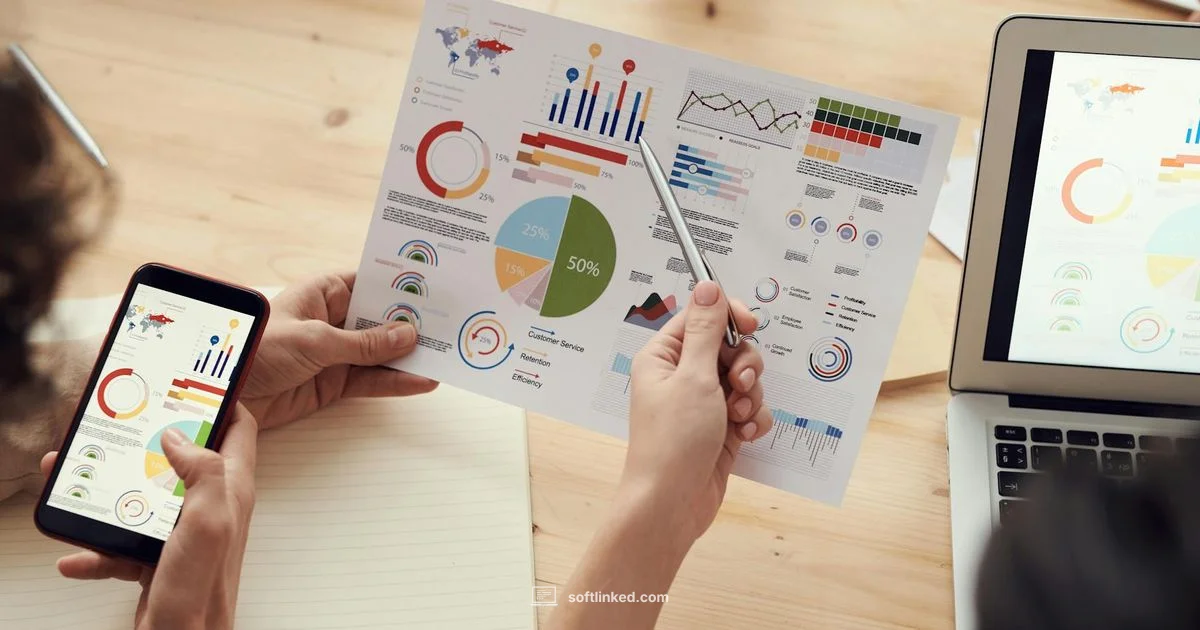 Software Industry Size Software Industry Size - SoftLinked