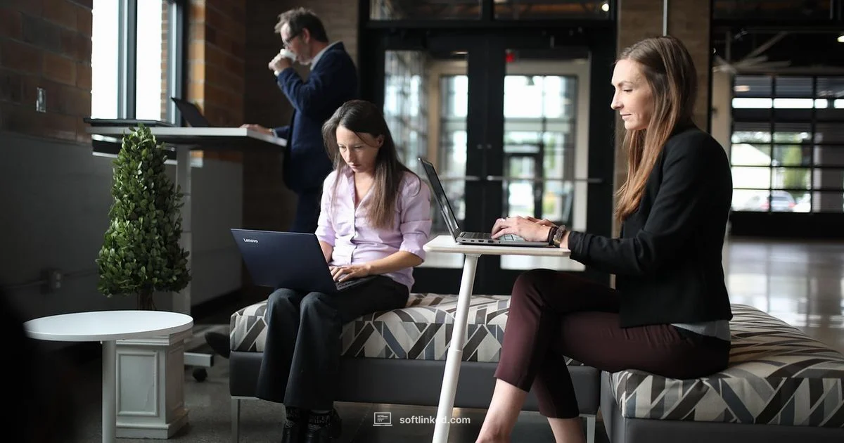 SaaS Example Guide - SoftLinked