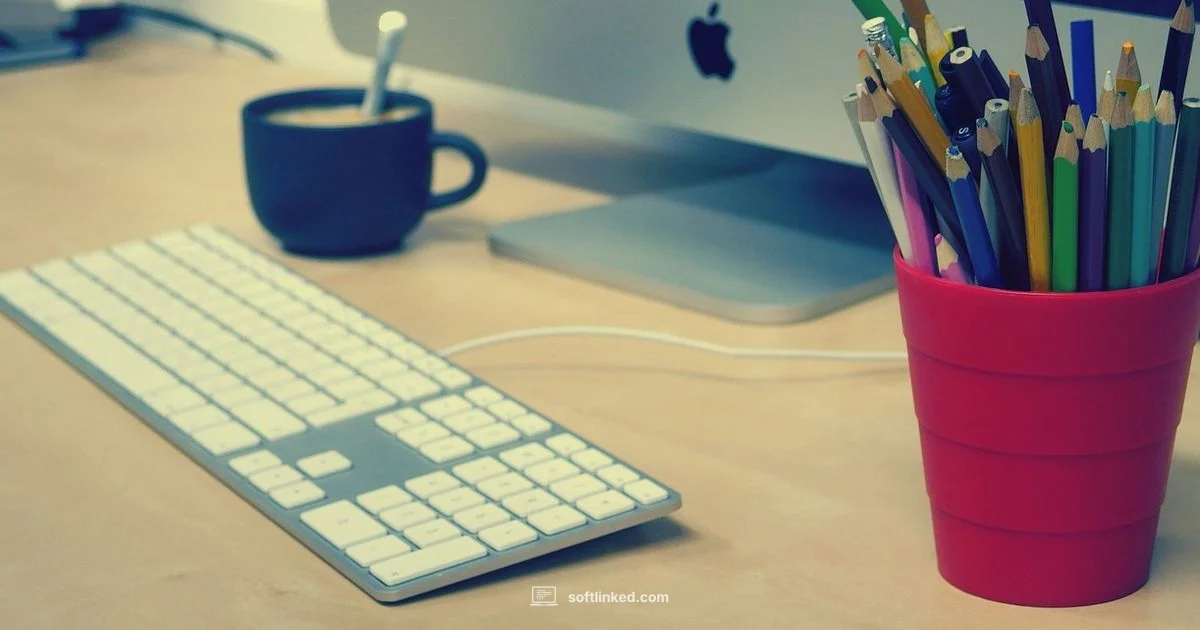 Why We Use Software - SoftLinked