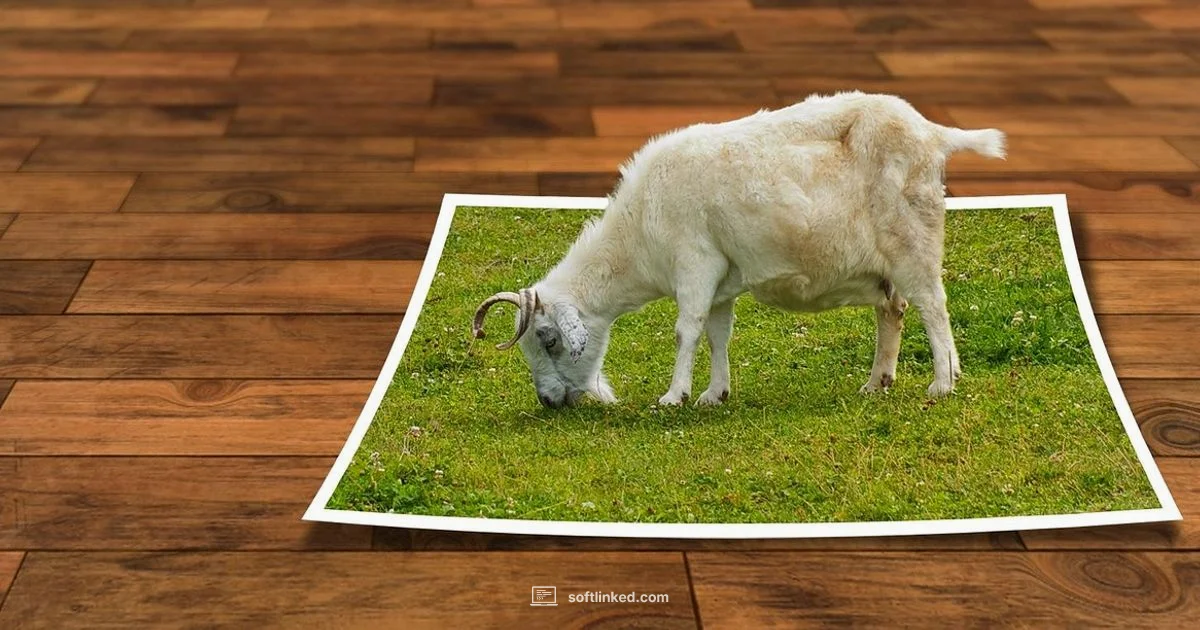 Free Photoshop Alternatives - SoftLinked