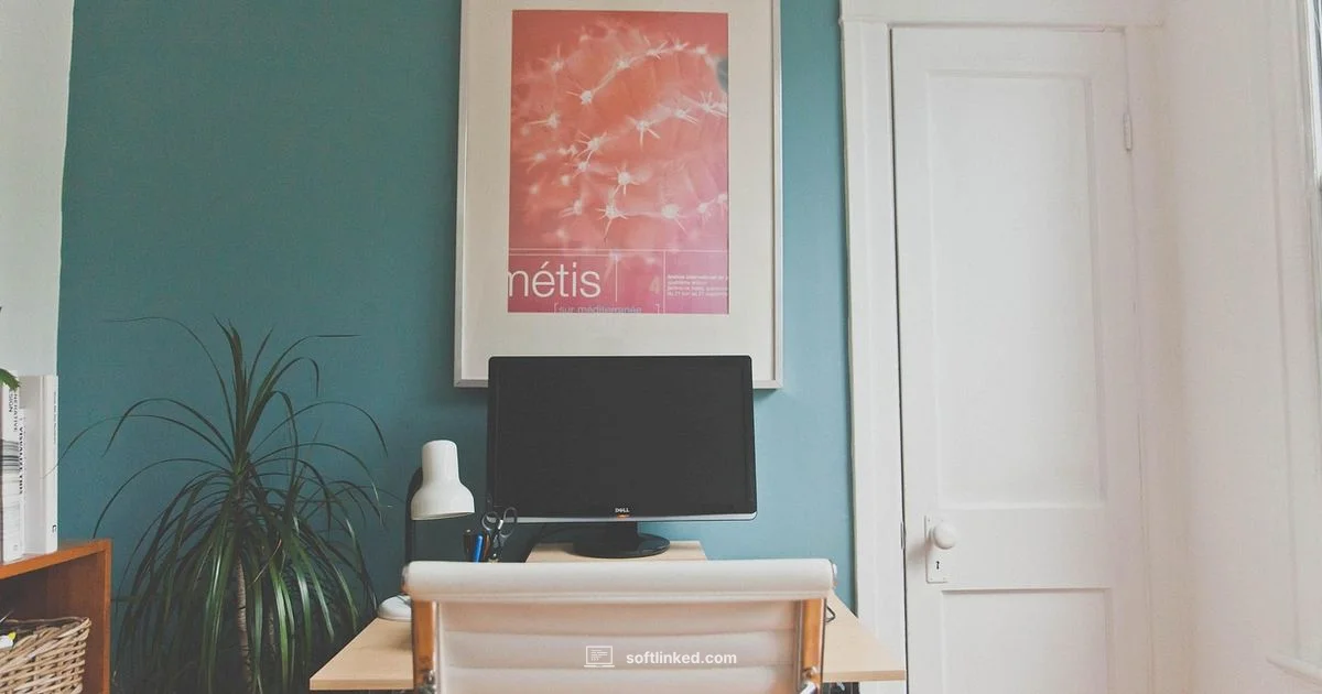 BMC Software Overview - SoftLinked