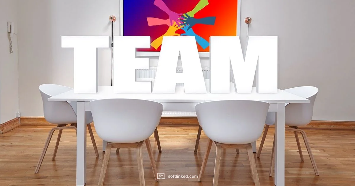 Software House Insights - SoftLinked