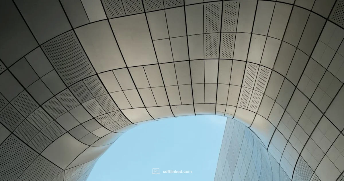 Software & Systems - SoftLinked