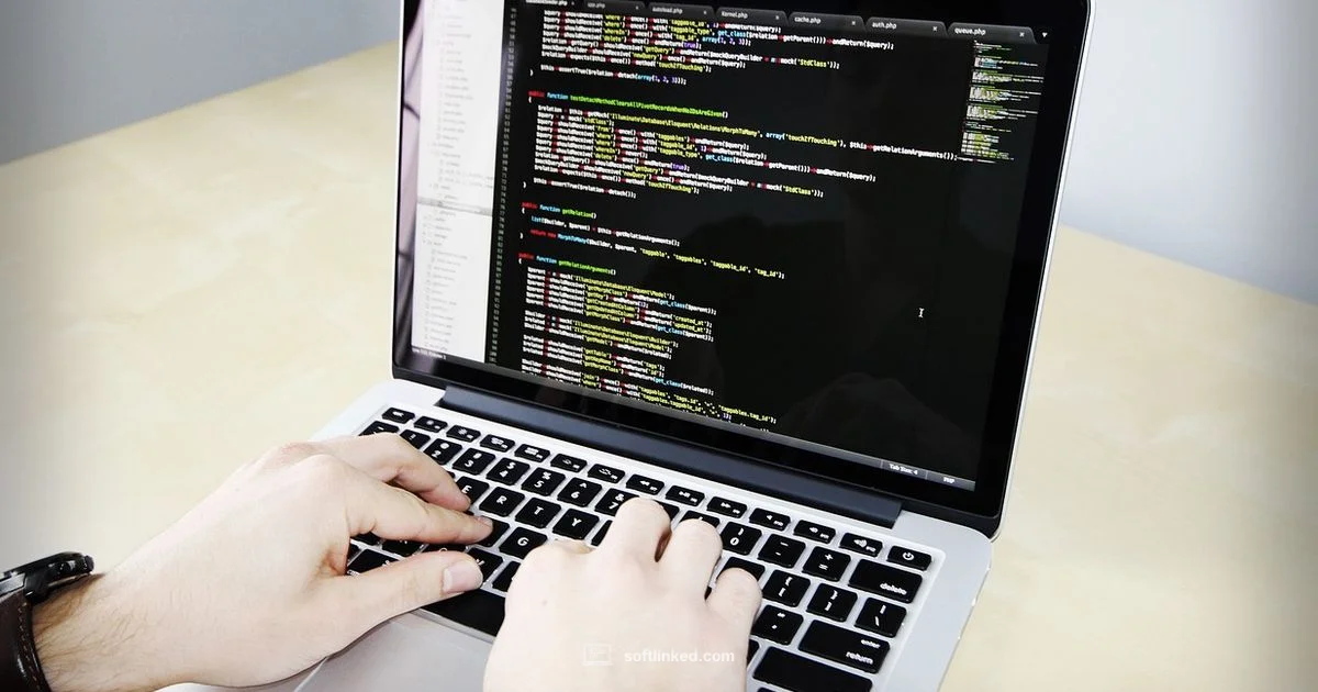 Software Company Defined Software Company Defined - SoftLinked