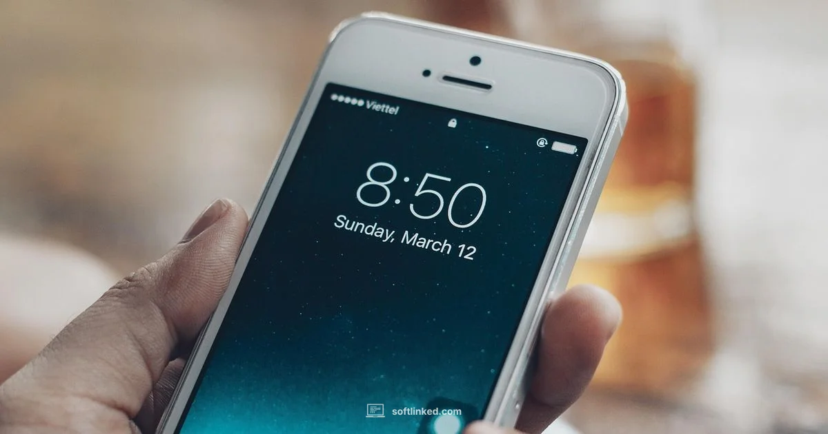 iPhone Software Fixes - SoftLinked
