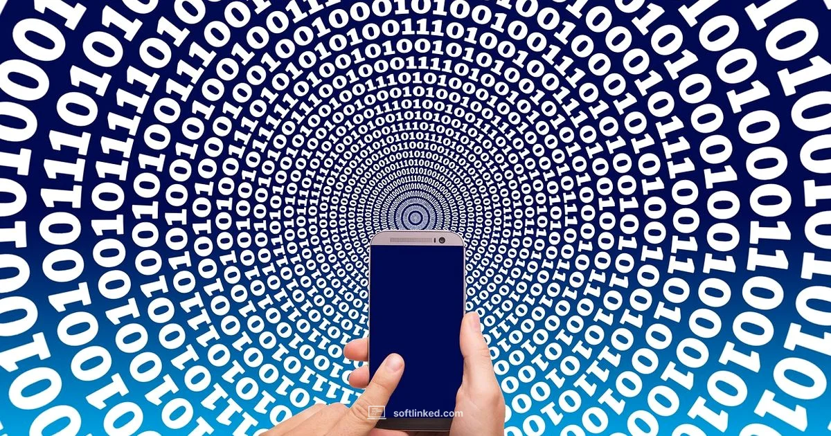 System Software Overview - SoftLinked