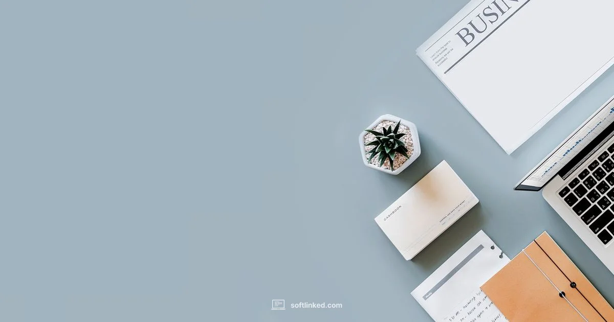 Accounting Software - SoftLinked