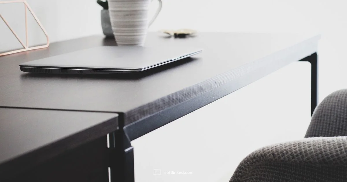 Code Day Insight - SoftLinked