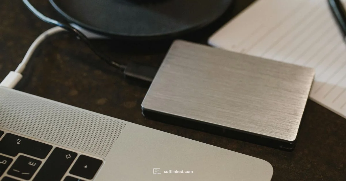 Data Recovery Guide - SoftLinked