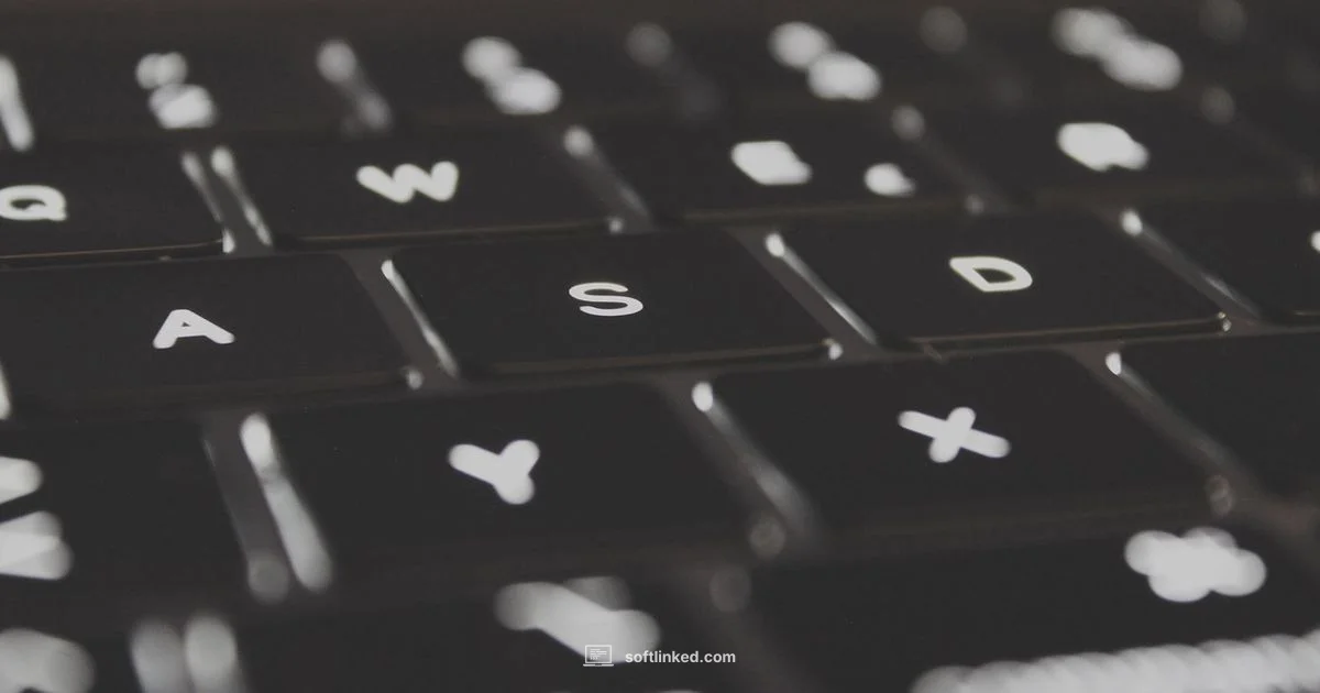 Senior Software Engineer - SoftLinked