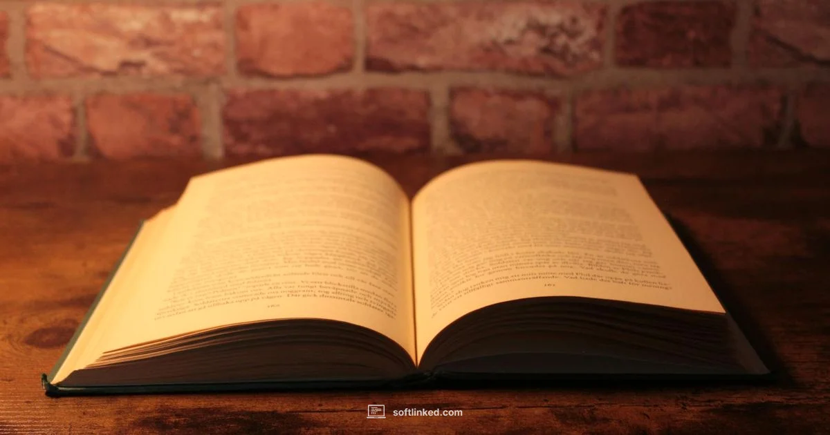 PDF Reading - SoftLinked