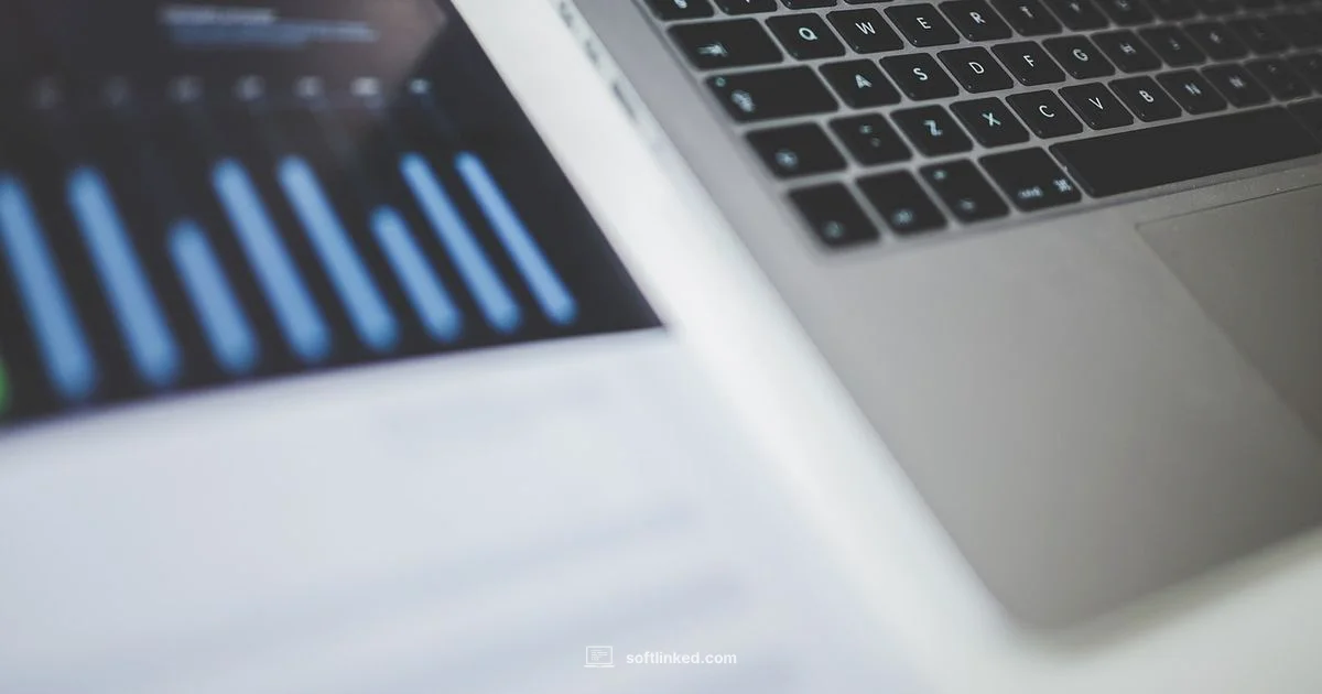 Excel Fundamentals - SoftLinked