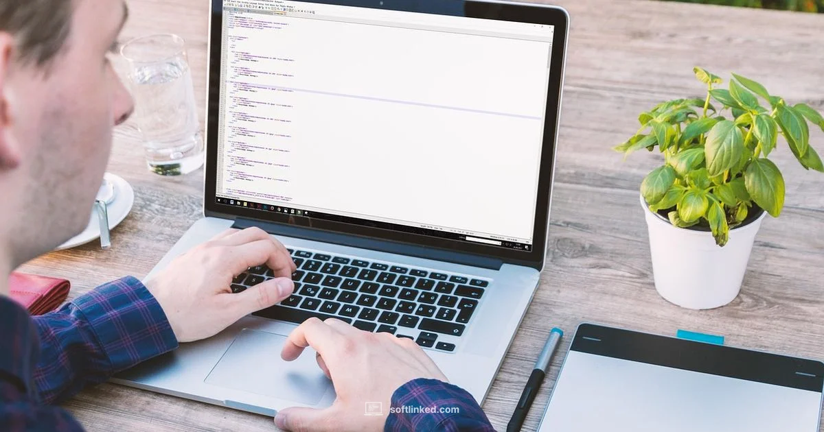 Getting Started in Software - SoftLinked