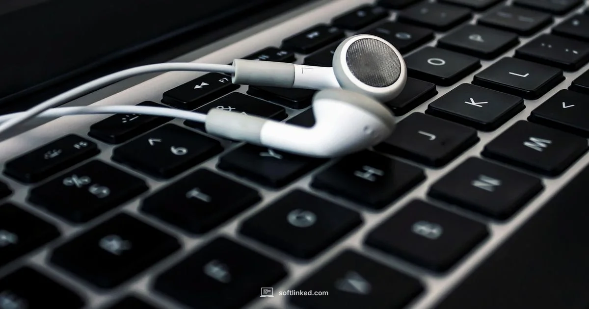 Text to Talk Insights - SoftLinked