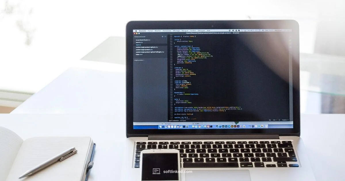 Fix Software Issues - SoftLinked