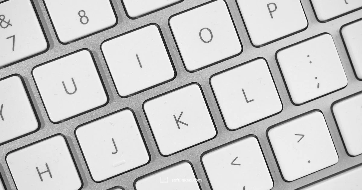 Career Paths in SE Career Paths in SE - SoftLinked