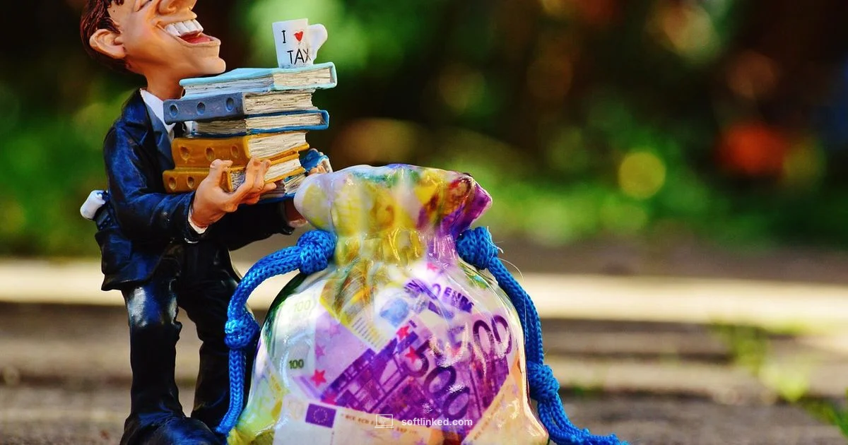 Tax Software Basics - SoftLinked