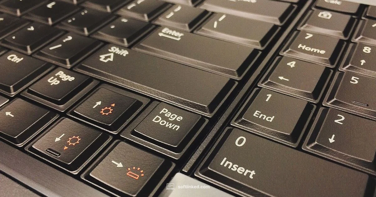 Constellation Software Guide - SoftLinked