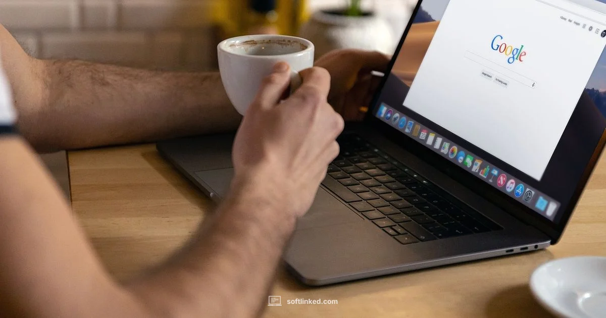 Freelance Starter Freelance Starter - SoftLinked