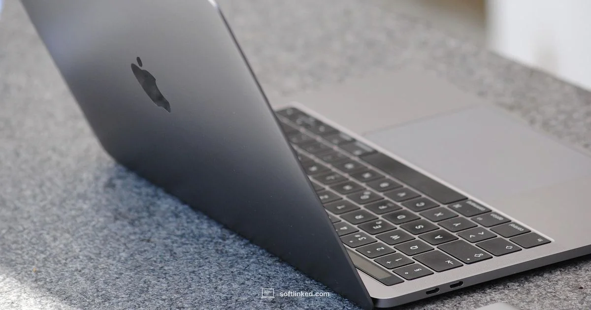 macOS Software Update - SoftLinked