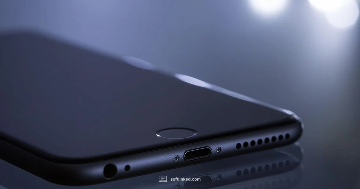 Update Delays - SoftLinked