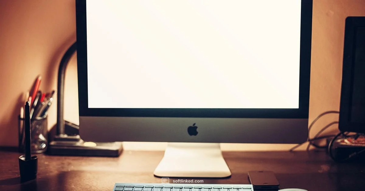 Software vs OS - SoftLinked