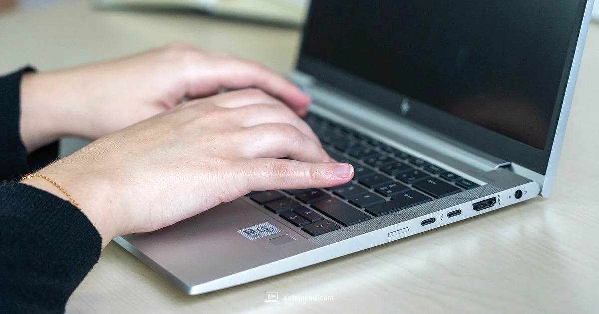 PDF to PPT - SoftLinked